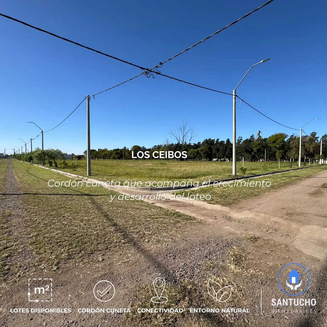 Lotes en Venta | Lotes N° 8 y N° 9 Los Ceibos – Jesús María