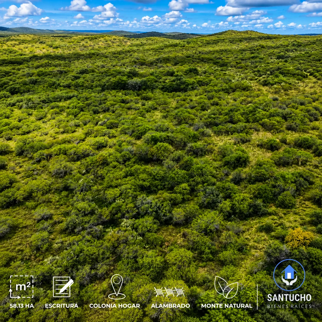 Campo en Venta | Colonia Hogar – Córdoba
