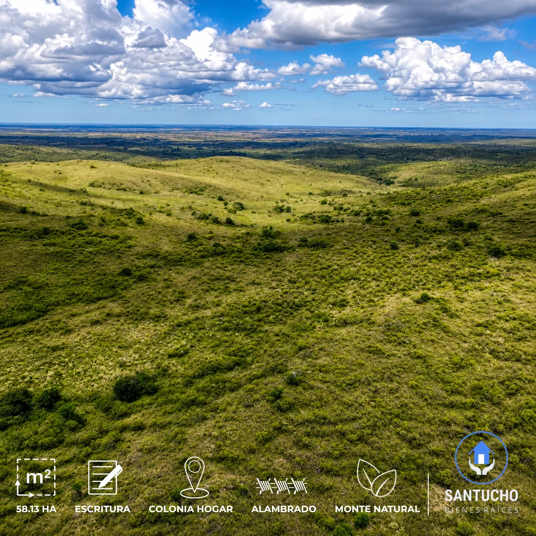 Campo en Venta | Colonia Hogar – Córdoba