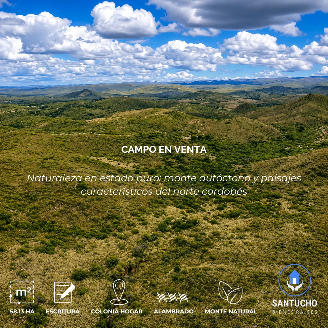 Campo en Venta | Colonia Hogar – Córdoba