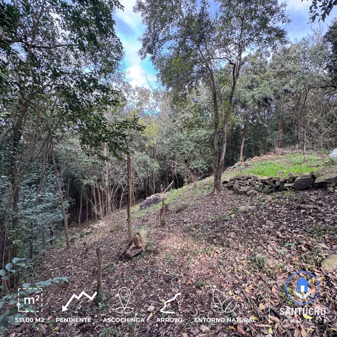 Terreno en Venta | Barrio El Mirador – Ascochinga