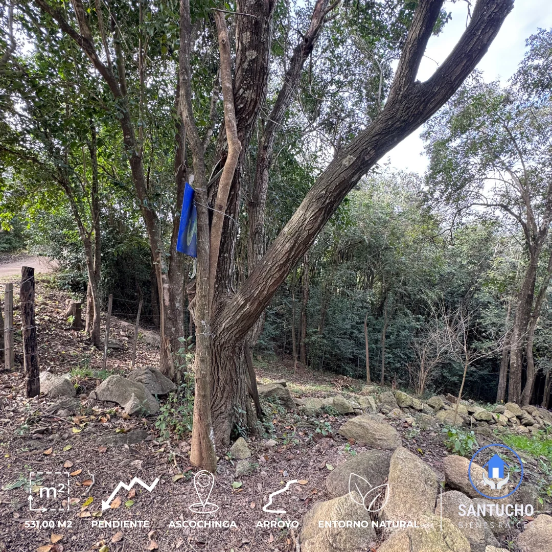 Terreno en Venta | Barrio El Mirador – Ascochinga