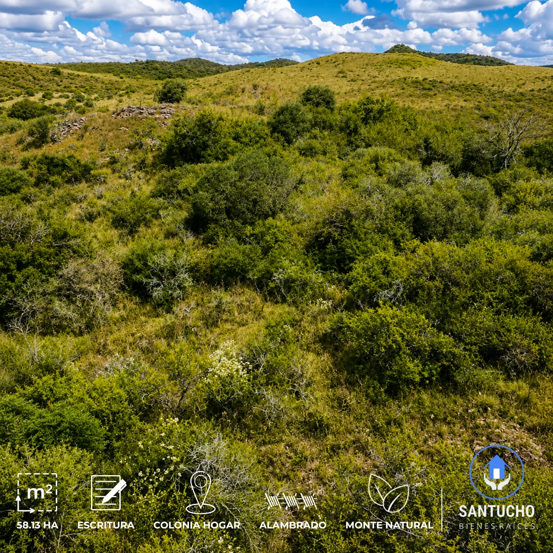 Campo en Venta | Colonia Hogar – Córdoba