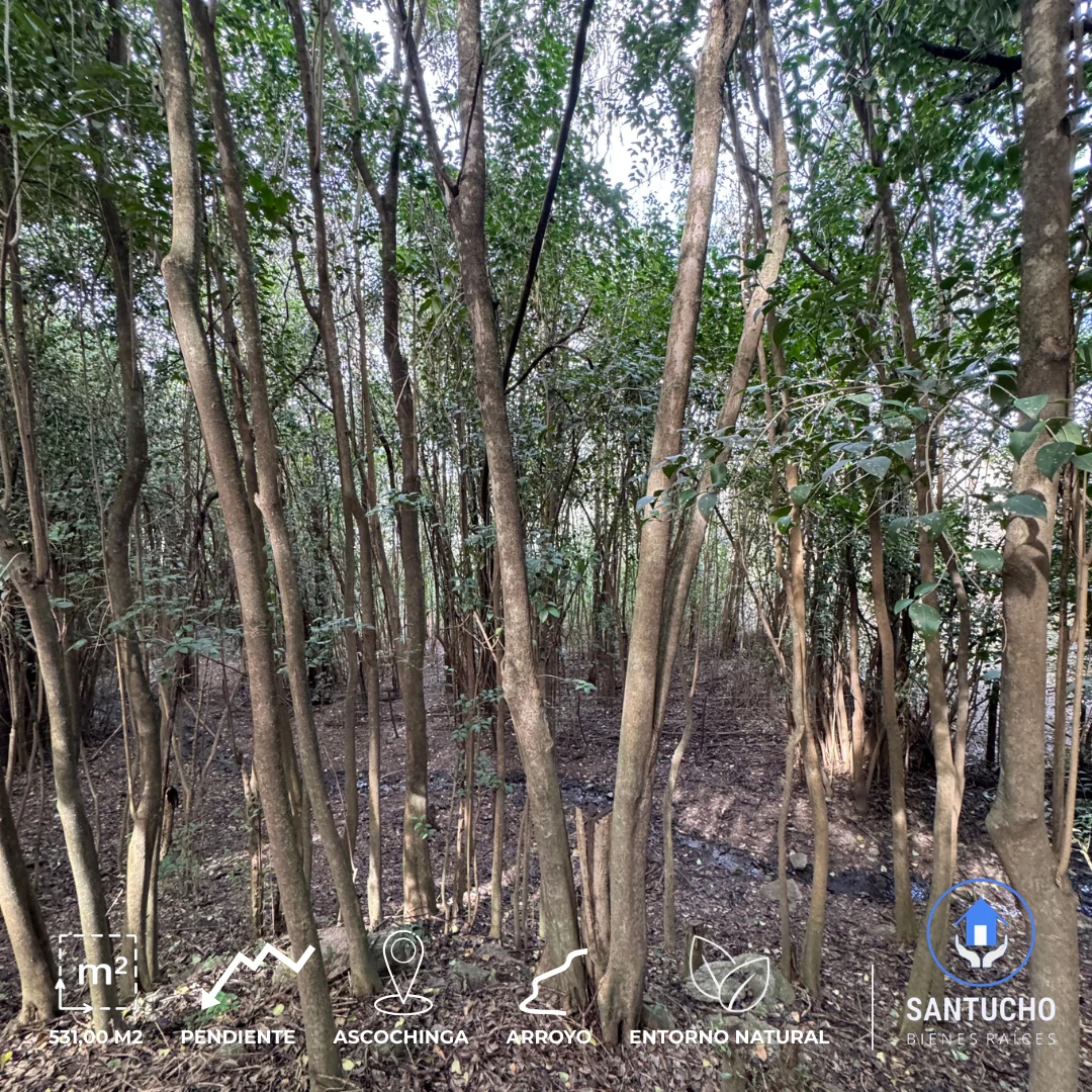 Terreno en Venta | Barrio El Mirador – Ascochinga