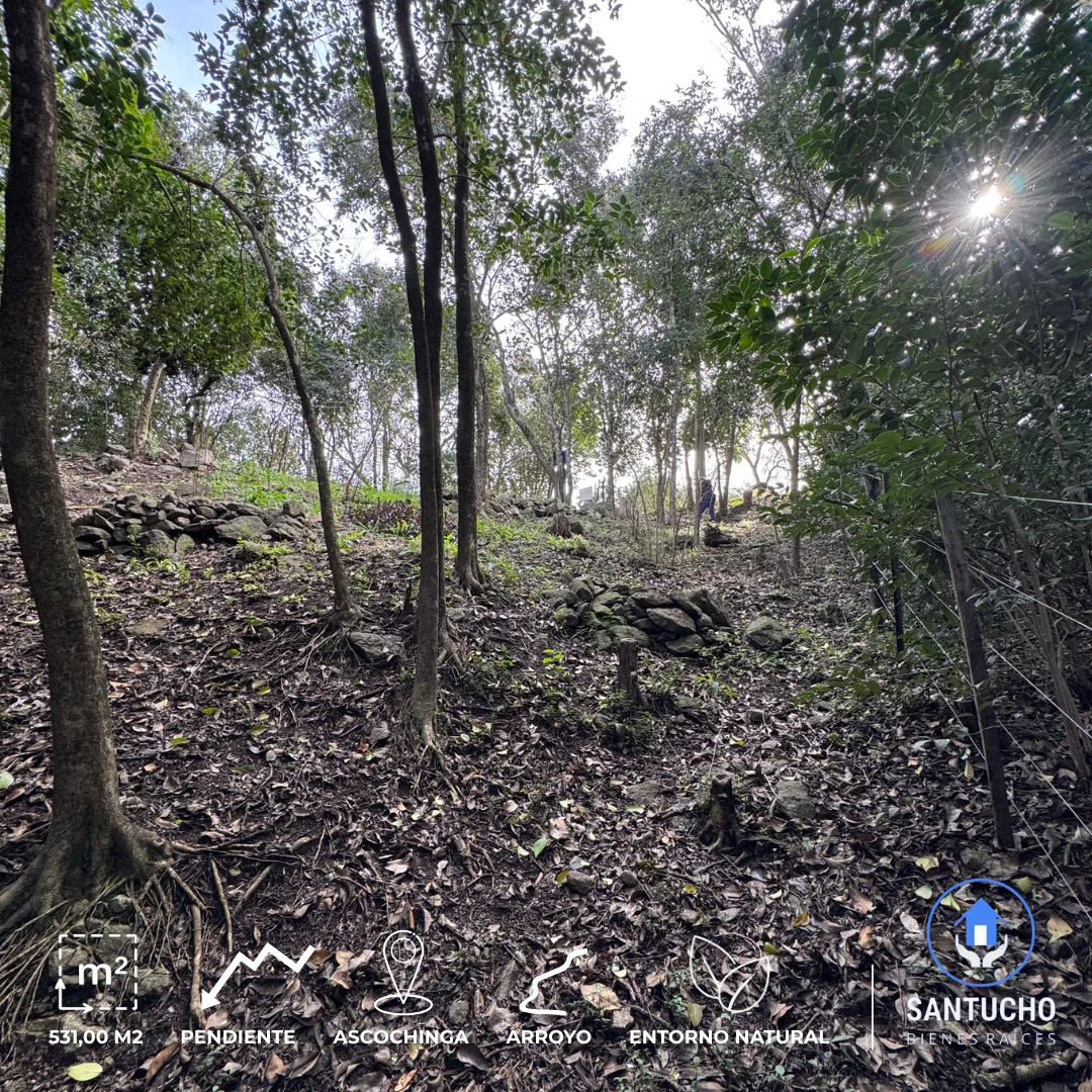 Terreno en Venta | Barrio El Mirador – Ascochinga