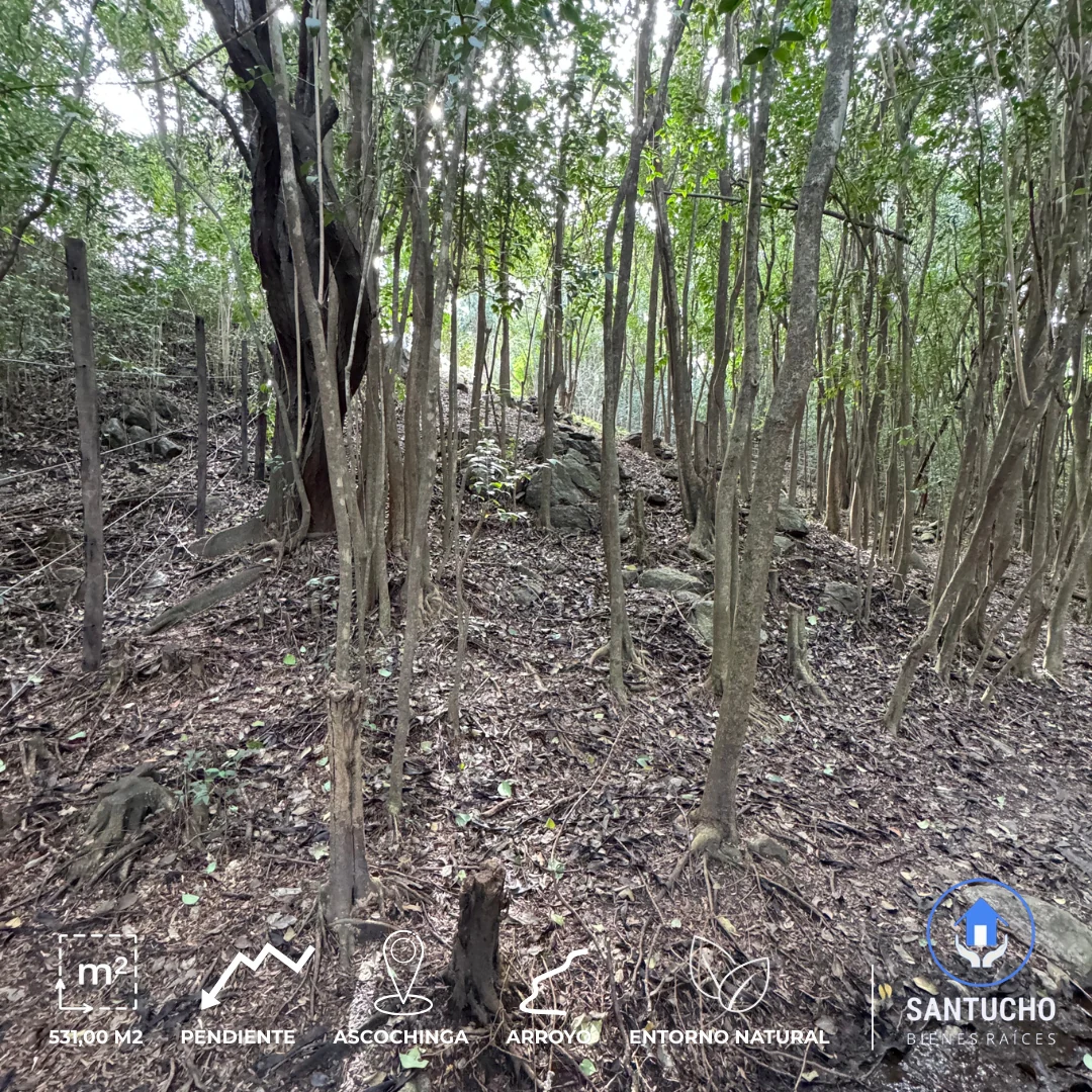 Terreno en Venta | Barrio El Mirador – Ascochinga