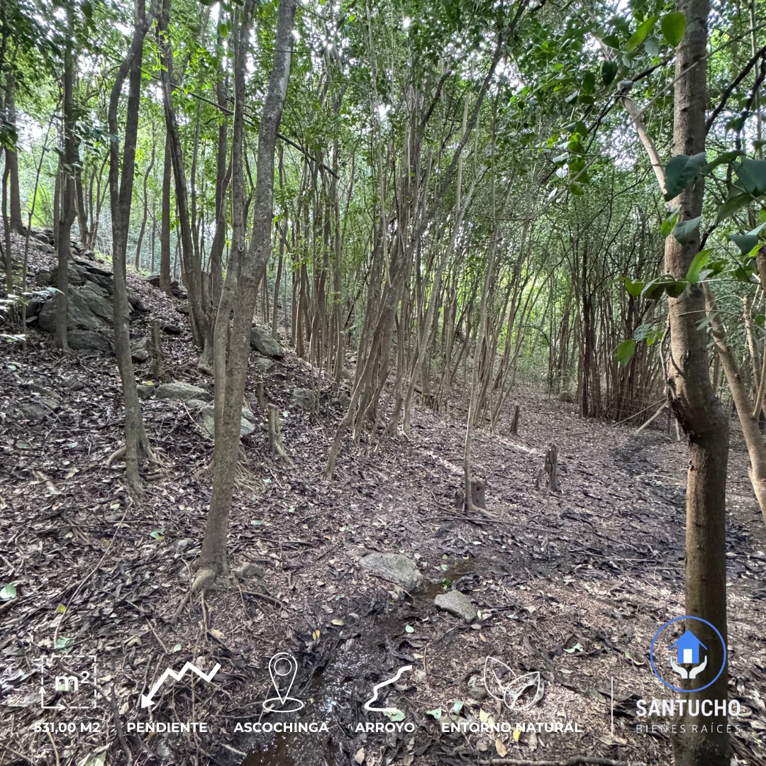Terreno en Venta | Barrio El Mirador – Ascochinga