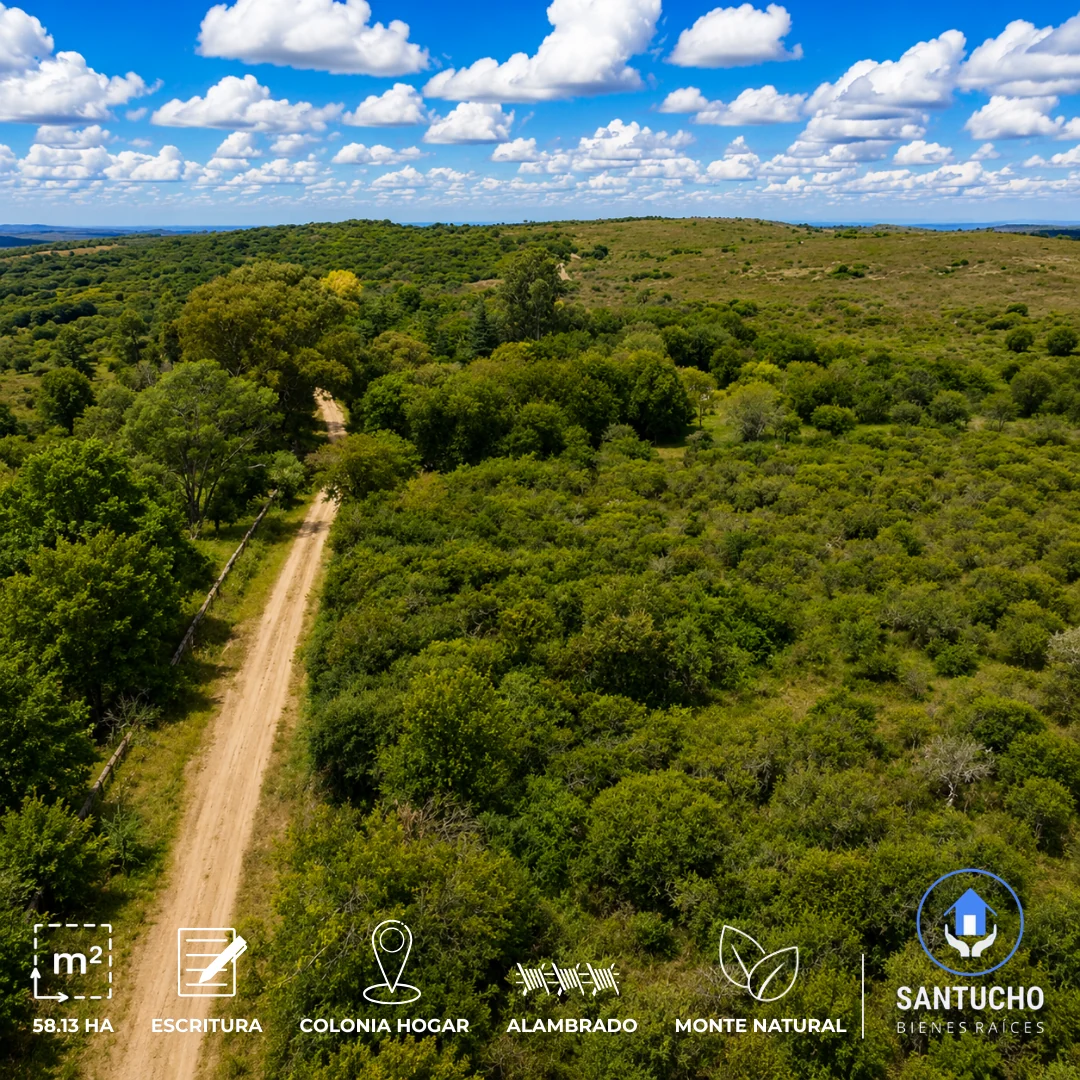 Campo en Venta | Colonia Hogar – Córdoba