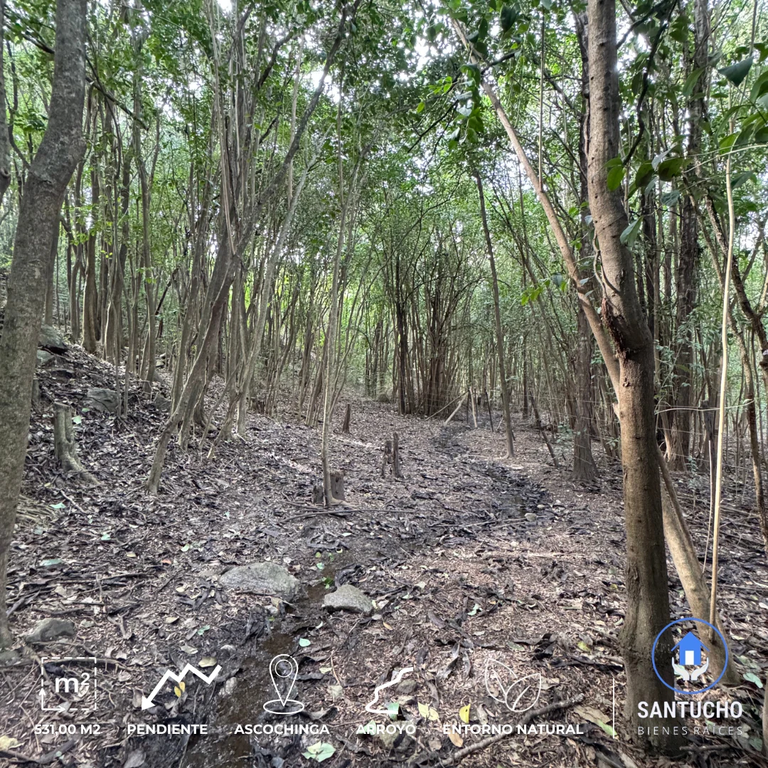 Terreno en Venta | Barrio El Mirador – Ascochinga