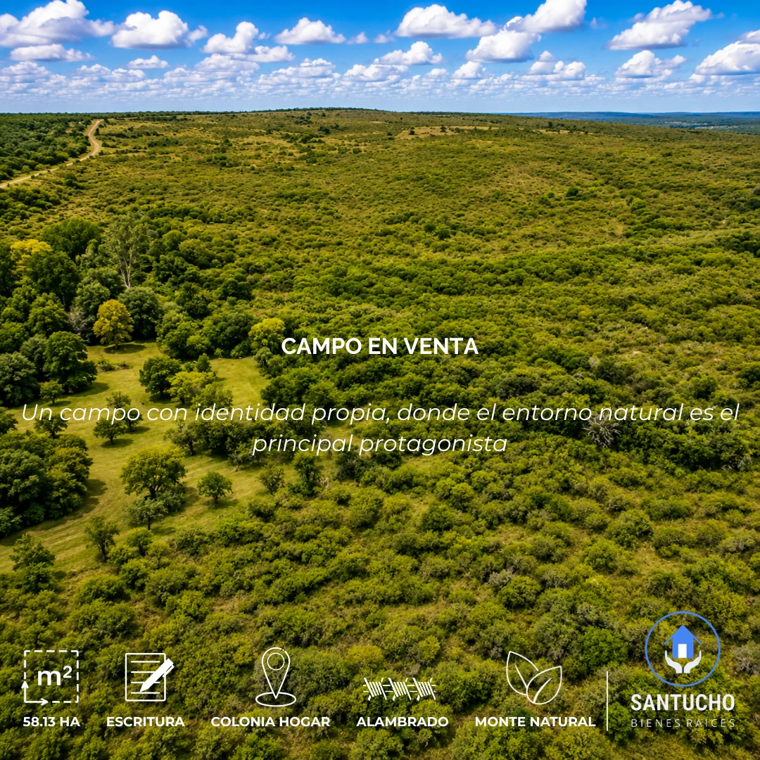 Campo en Venta | Colonia Hogar – Córdoba