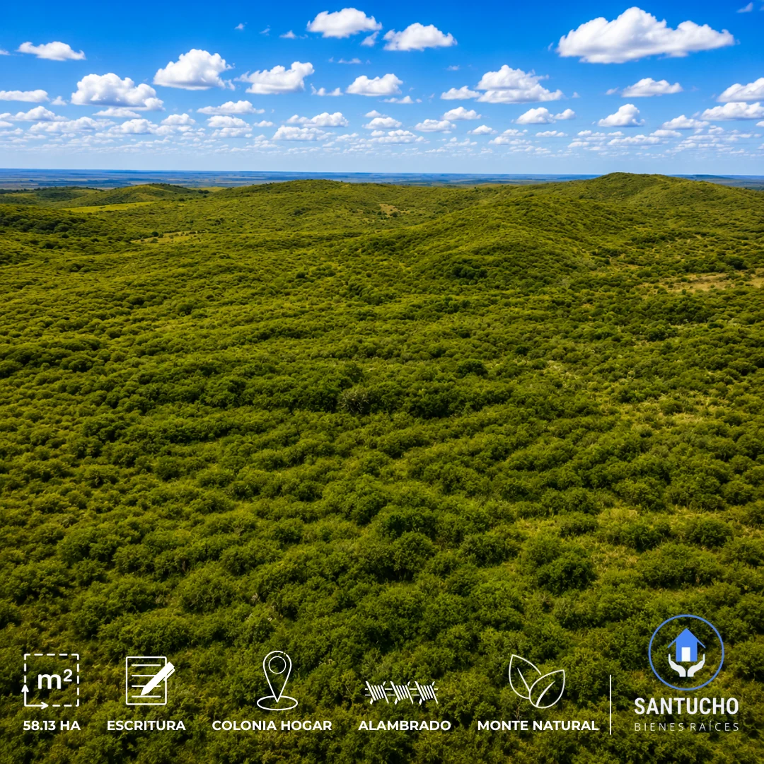 Campo en Venta | Colonia Hogar – Córdoba