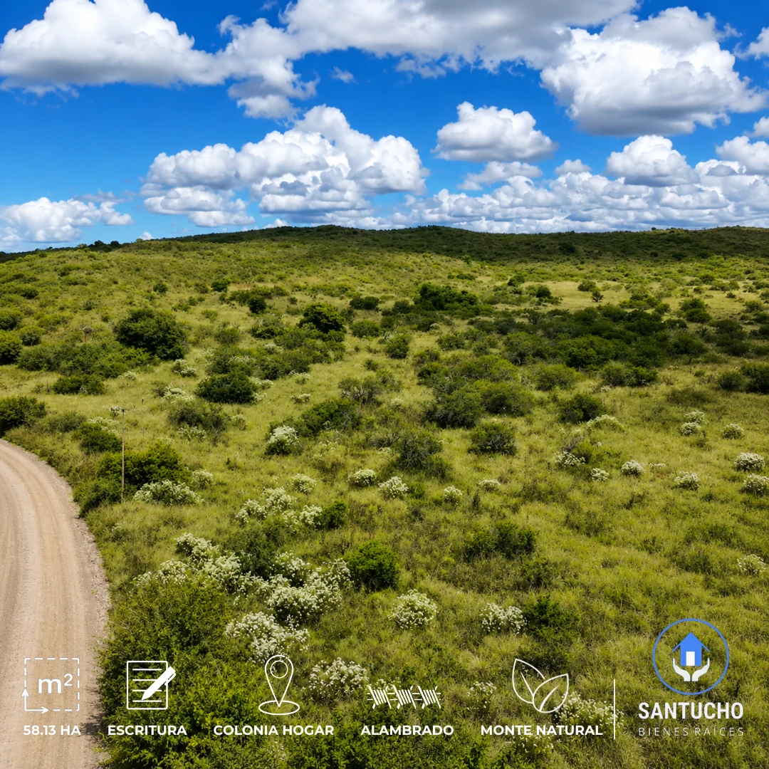 Campo en Venta | Colonia Hogar – Córdoba
