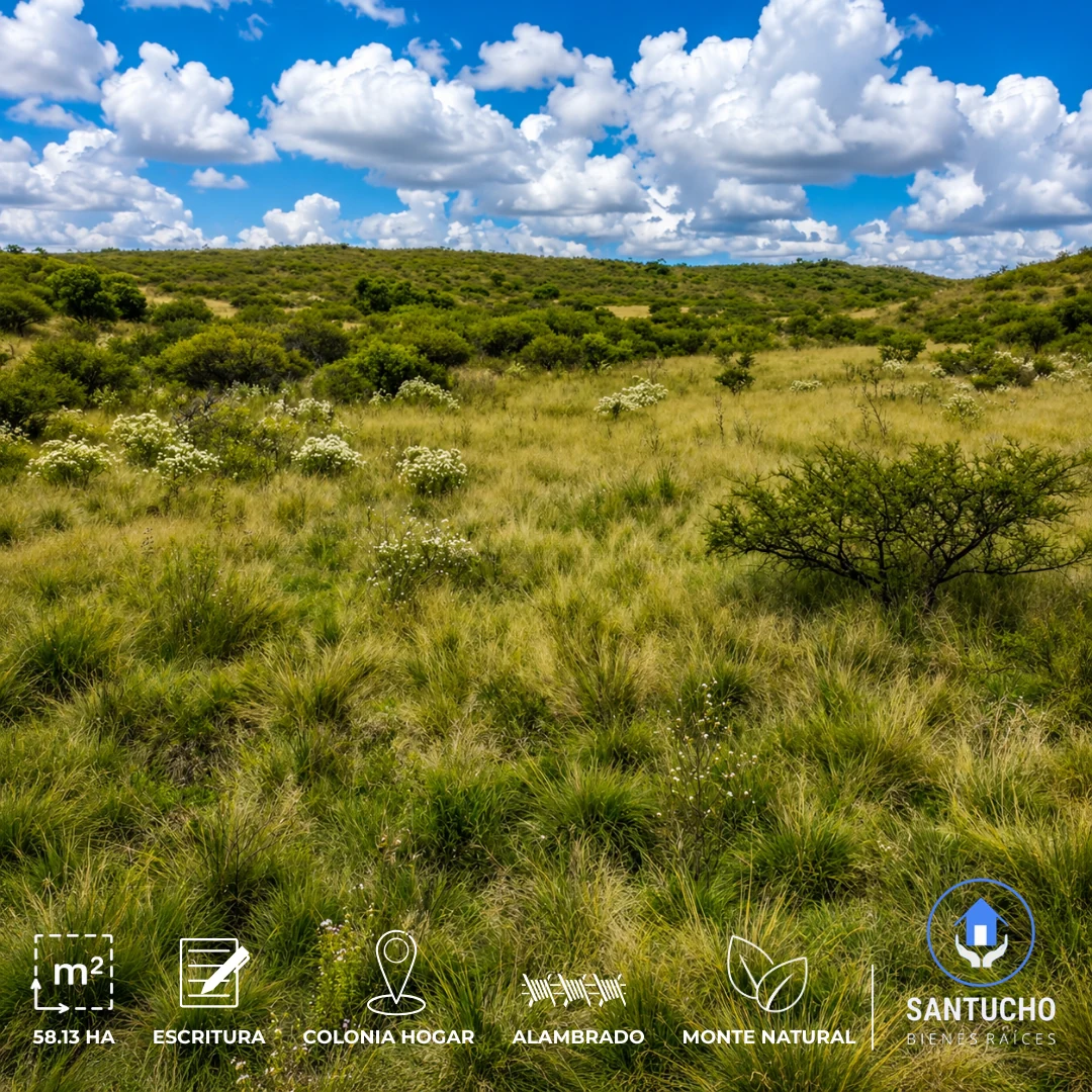 Campo en Venta | Colonia Hogar – Córdoba