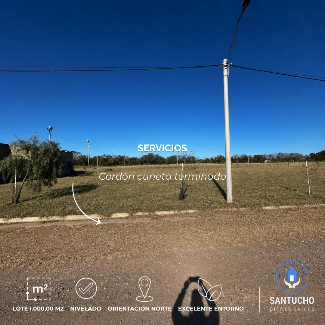 Terreno en Venta | Lote N° 9 – Sinsacate
