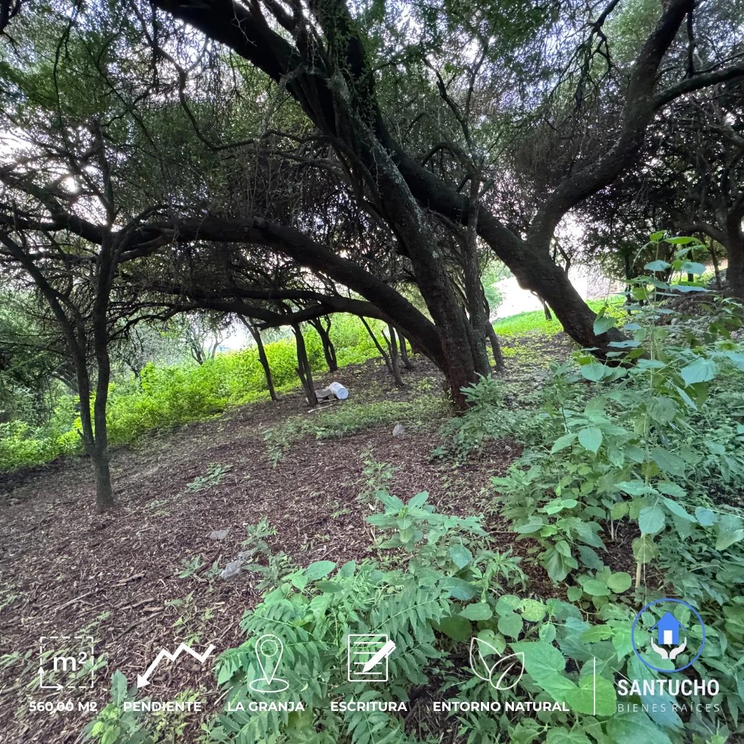Terreno en Venta | La Granja – Córdoba